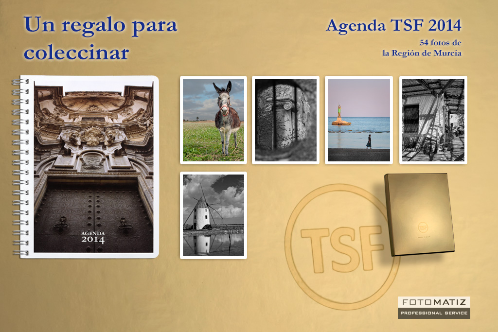Agenda 2014 TSF
