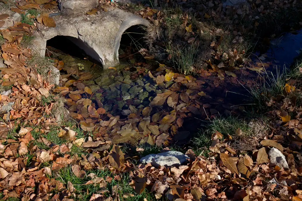 El nacimiento del pequeño río Alhárabe, que nace en el Sabinar