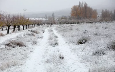 La magia de la primera nieve en El Sabinar