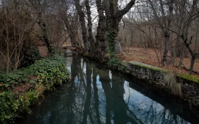 Fotografía de invierno en Cañete