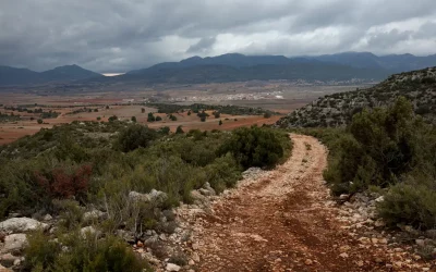 Una ruta de senderismo en un entorno natural