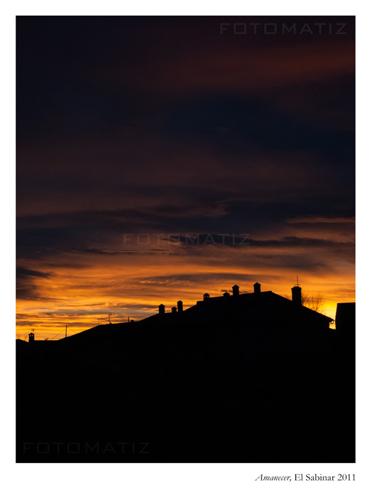 Amanecer en el Sabinar