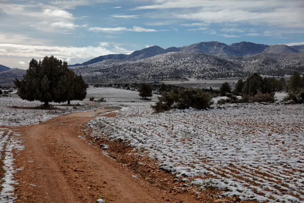 Campos nevados en El Sabinar