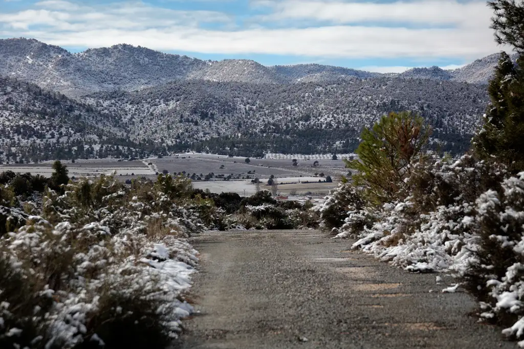 Casas rurales en El Sabinar en época de nieve