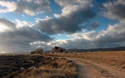 Rachas de viento en el Campo de San Juan