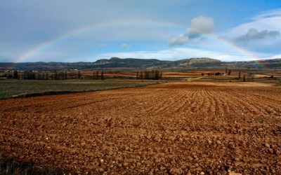 Un dia muy especial, vienen los Reyes Magos de oriente próximo