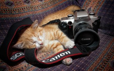 Taller de fotografía: La cámara digital al desnudo