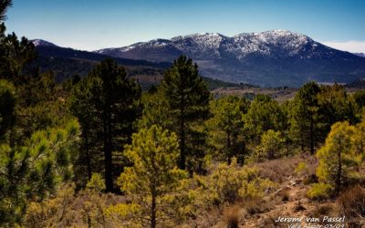 El valle de Alazor