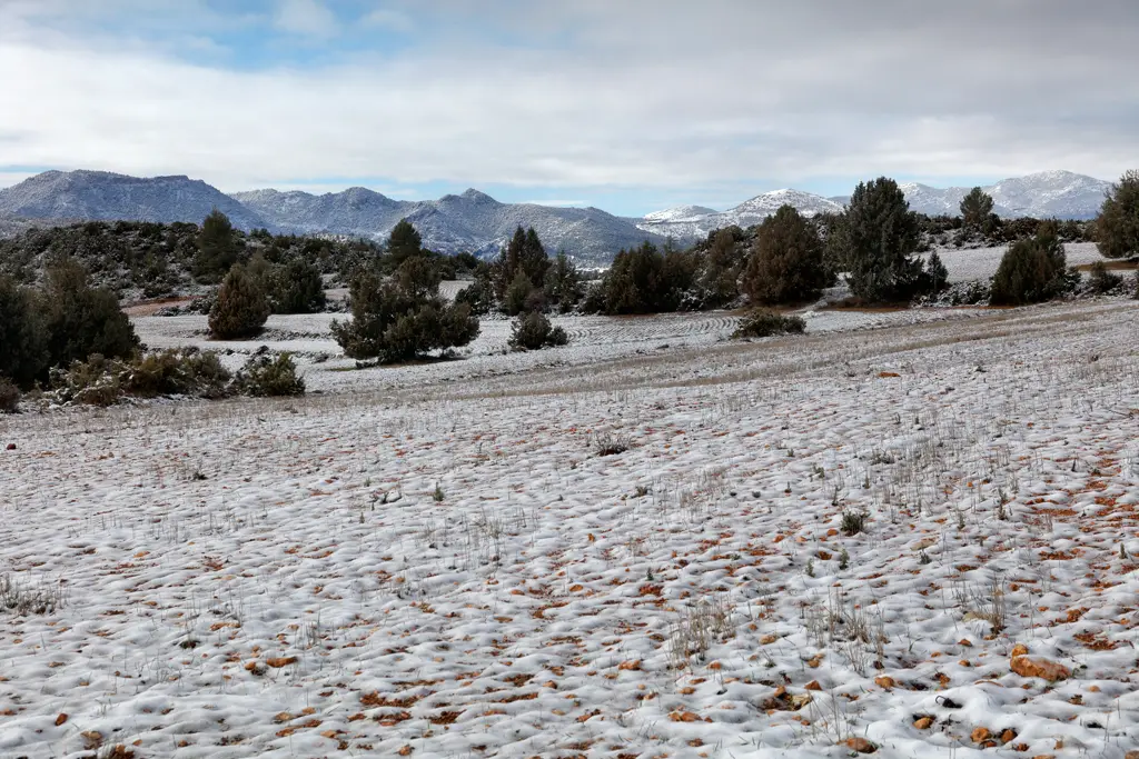 invierno con nieve en el noroeste murciano cerca de El Sabinar