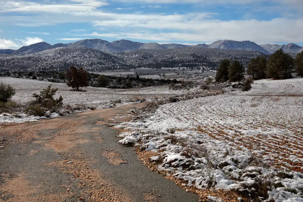 Temporal de nieve en Moratalla - El Sabinar